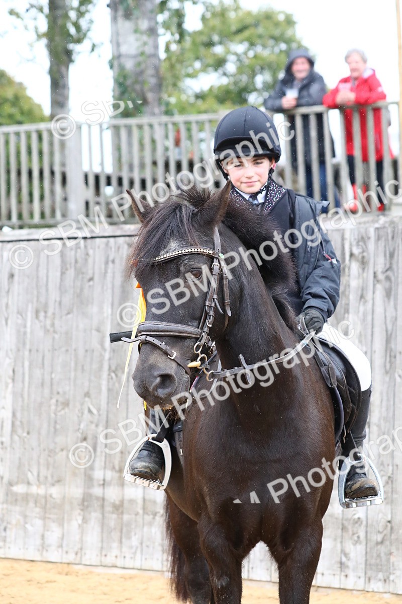 SBM_72122 - J3b - Mini Tour Junior Pony 40cm Championship