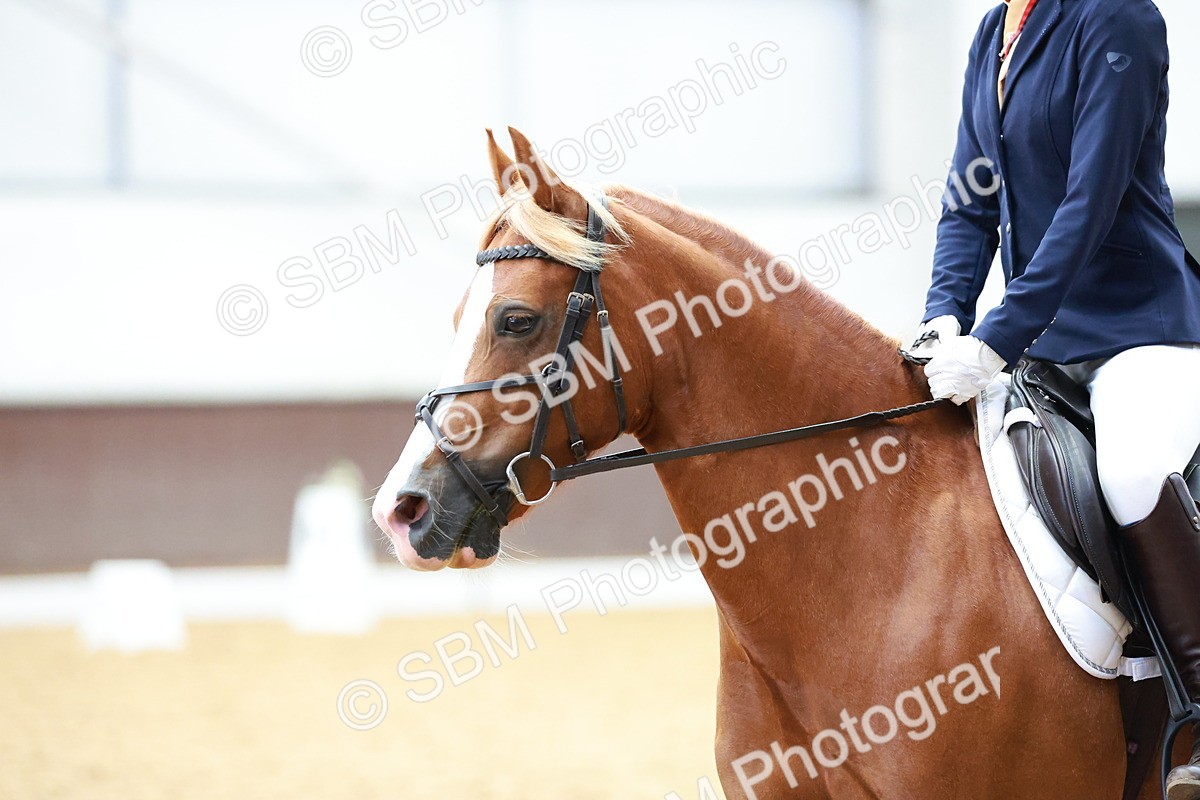 SBM_010317 - Prelim 5 - 10.04-11.21