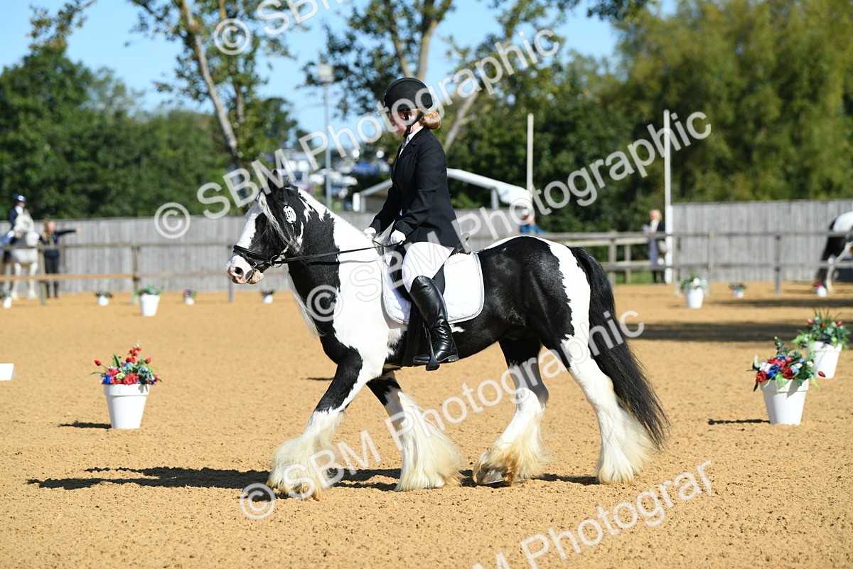 SBM_18073 - D4 - Small Tour Championship - Intro B
