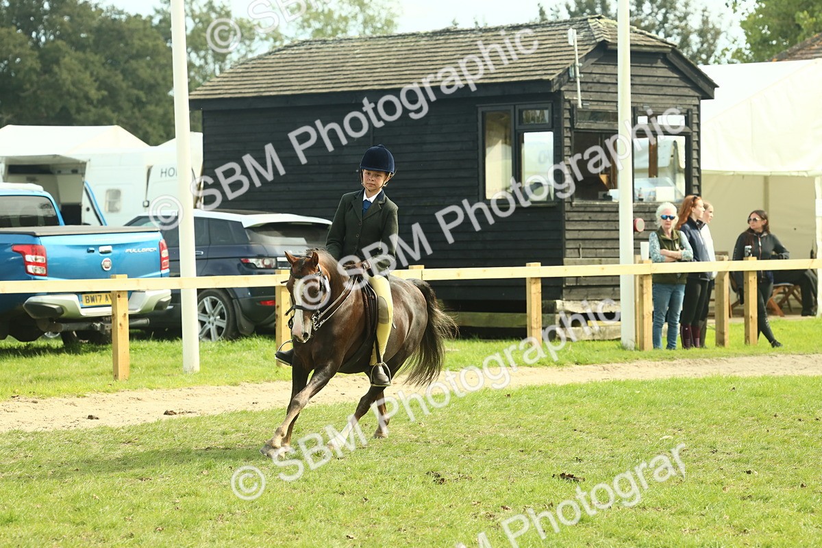 SBM_68061 - S57 - Part Bred Pony Ridden
