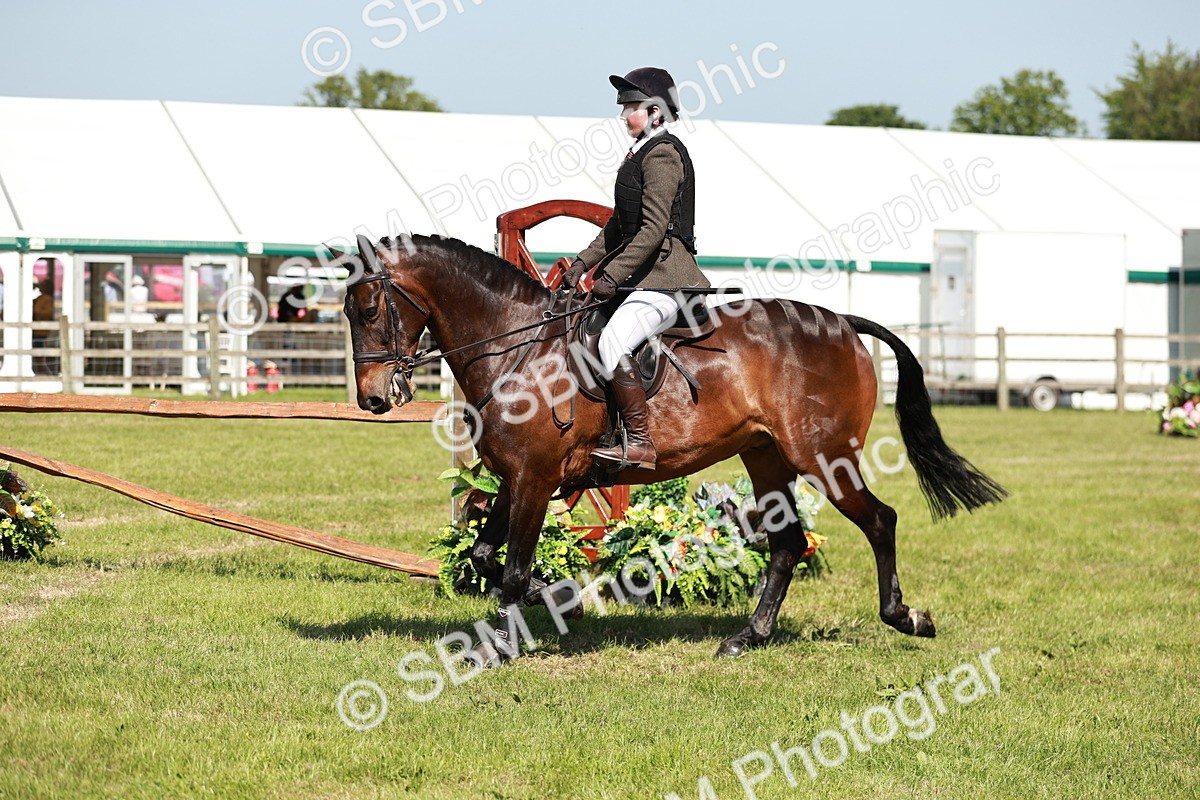 SBM_18413 - Class 112-113 - BSPS LIHS Working Sports Pony