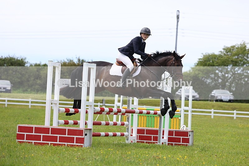 3E7A1566 - Class 13: Senior British Novice/90cm open