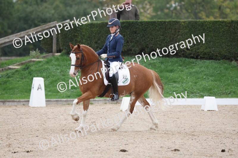 20251011-0354 - Class 3 - Prelim 2