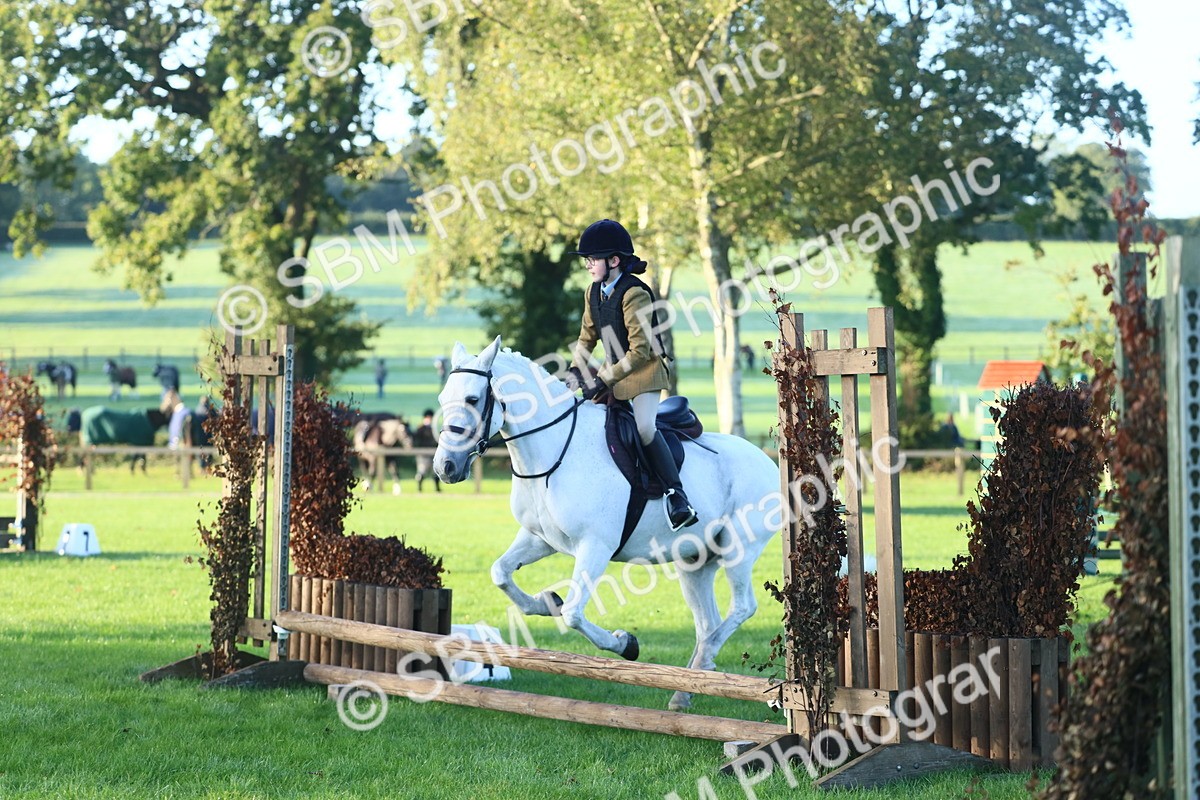 SBM_31714 - S28 - Nursery Stakes Working Hunter Pony