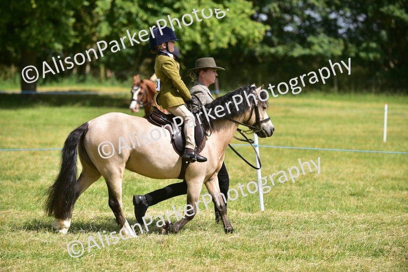 20260614-1165 - Class 11a - Lead Rein Pony (Unplaited)