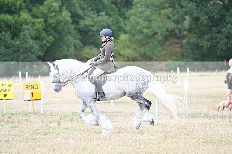 WJ7_5129 - Class 12 Ridden Cob