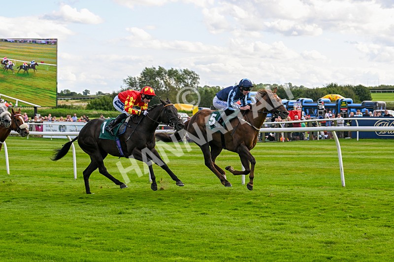 060824-Race 6-Golden Prosperity-3074 - Race 6