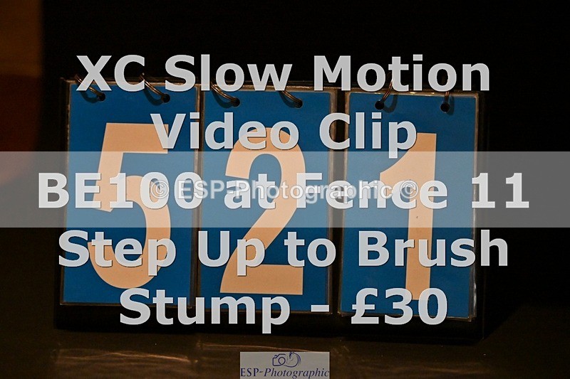 ESP_521 - 521-Rhianna.Ryan-HATTERALL.NEW.YORK