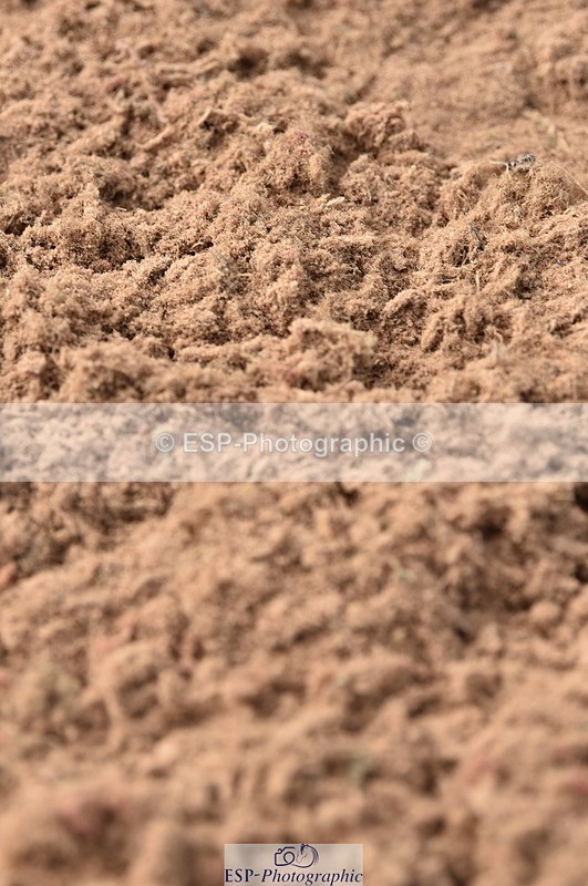 230810A-091554-00047 - Cls 8 British Novice & 90cm Open