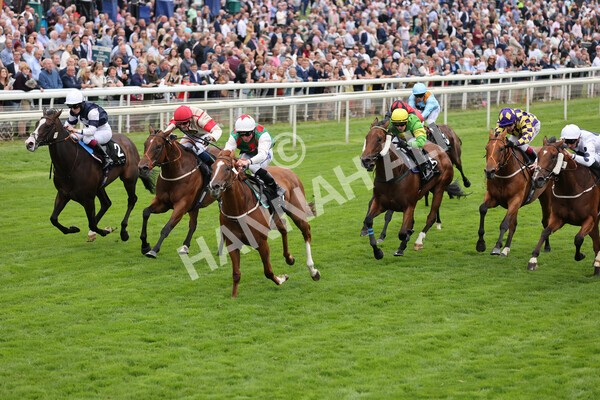 yr18082021r6-11 - Race 6 4.45pm IRE-Incentive It Pays To Buy Irish Stakes