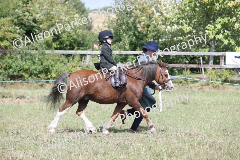 20250831-2781 - Class 17 - Lead Rein Pony