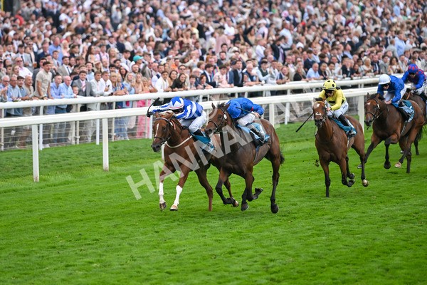 230825-Race 6-Revival Power-0818 - Race 6 4.45pm Julia Graves Roses Stakes