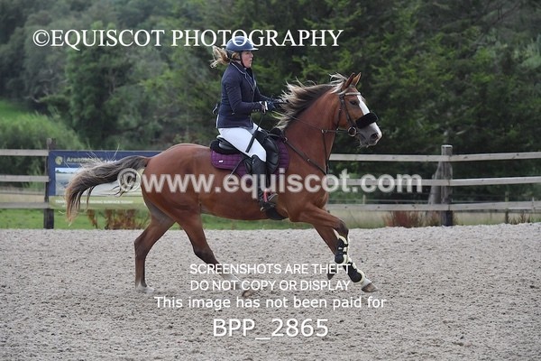 BPP_2865 - CLASS 2 Club/ Unaffiliated 80cms Open