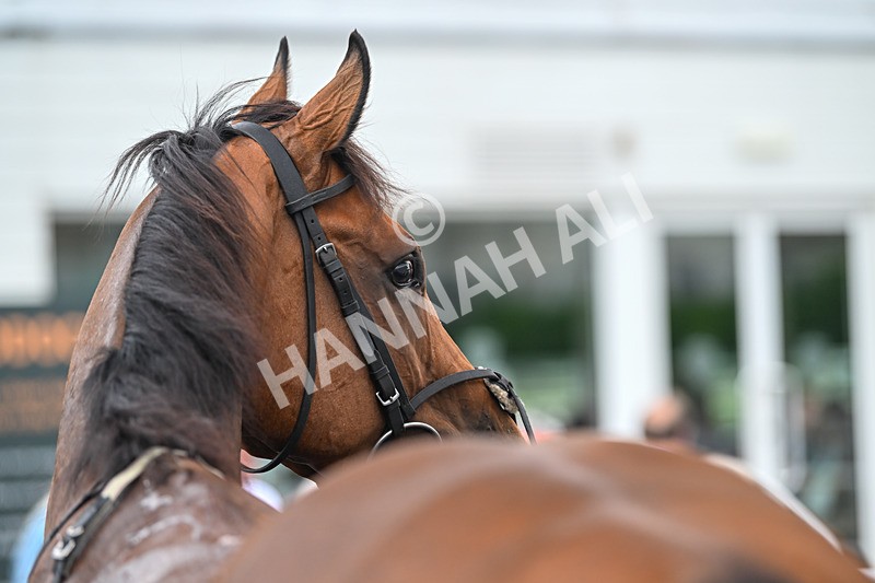 180825-Race 3-Flowstate-8627 - Race 3