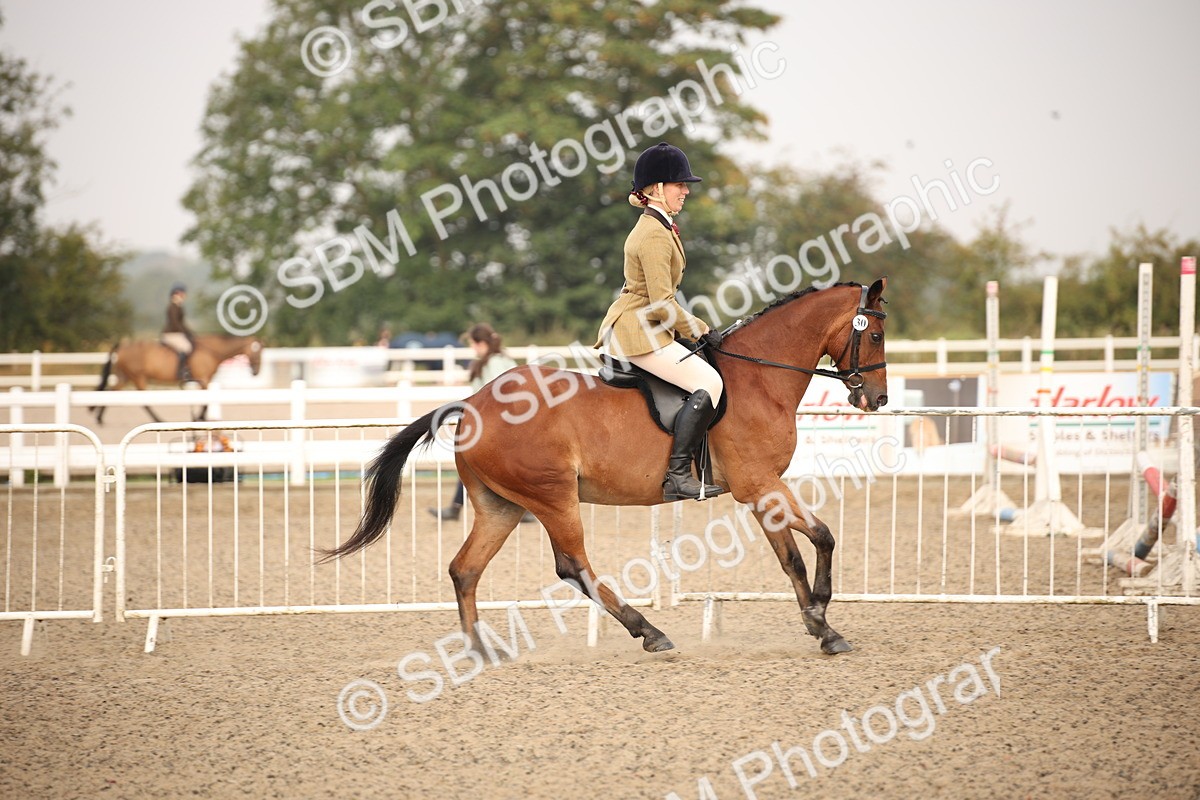 SBM_09786 - Class 401 Riding Club Pony