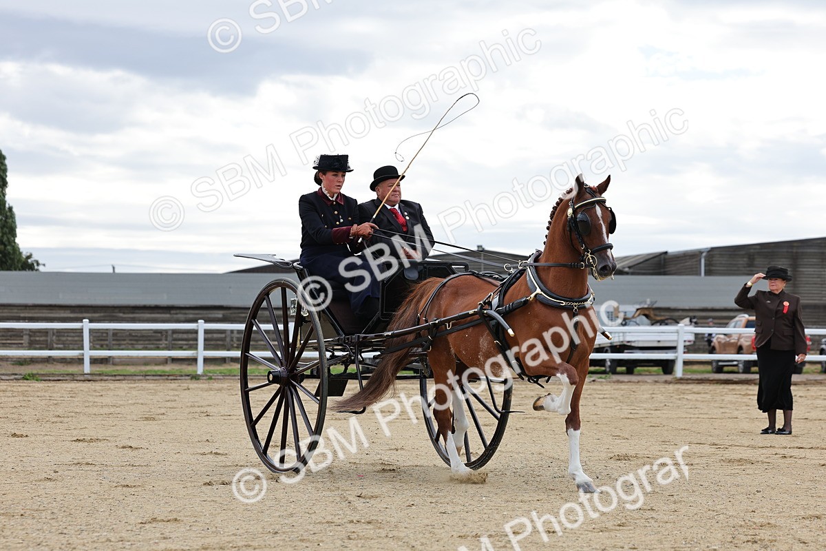 SBM_000416 - Class 4 - Junior Whip
