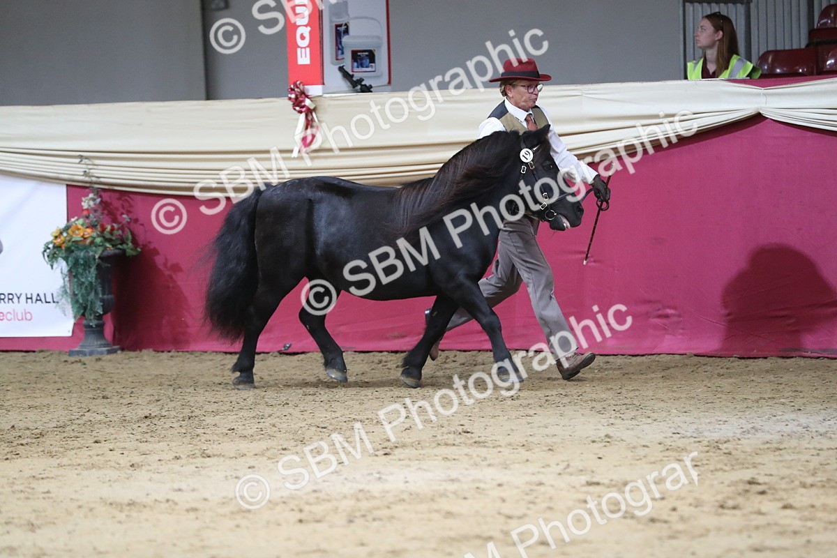 SBM_06259 - Class 9R Regional- IH Pre Vet