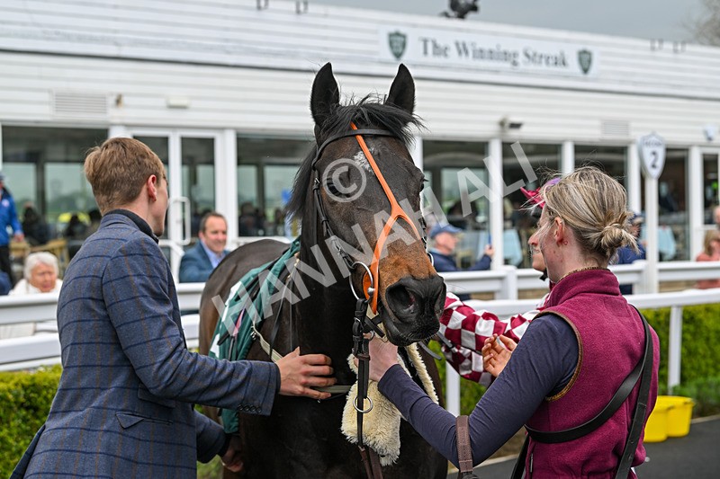 230425-Race 1-Birkenhead-9958 - Race 1