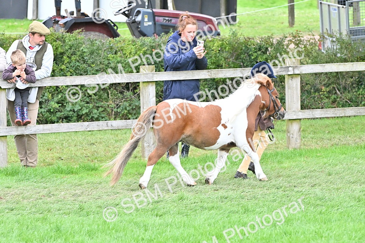 SBM_66780 - S41 - Junior Handler 8 Years & Under
