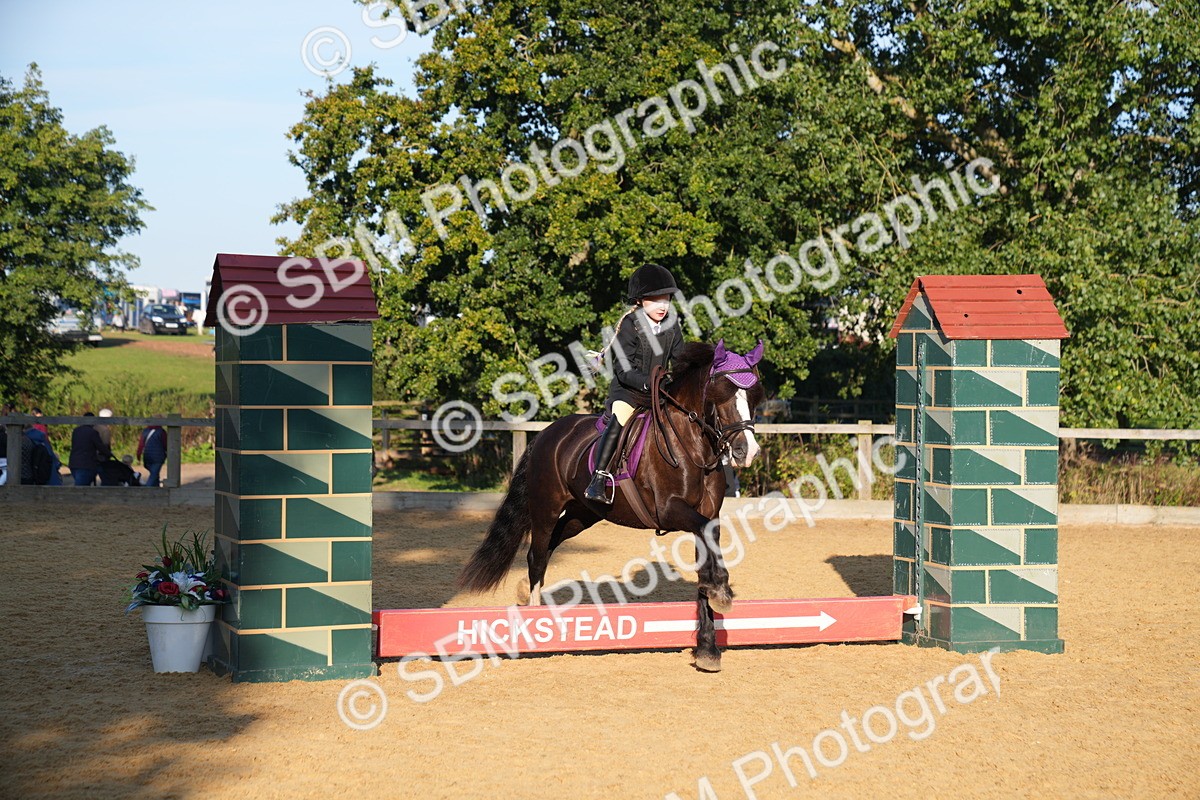 SBM_58987 - J63 - Minis Clear Round 30cm 40cm