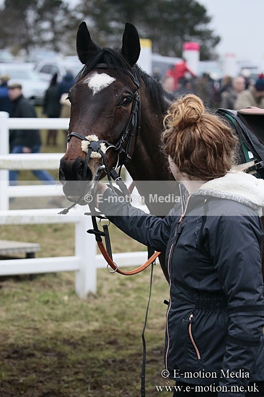 PtP 180218 553 - Combined Services Point-to-Point Larkhill 18/02/18