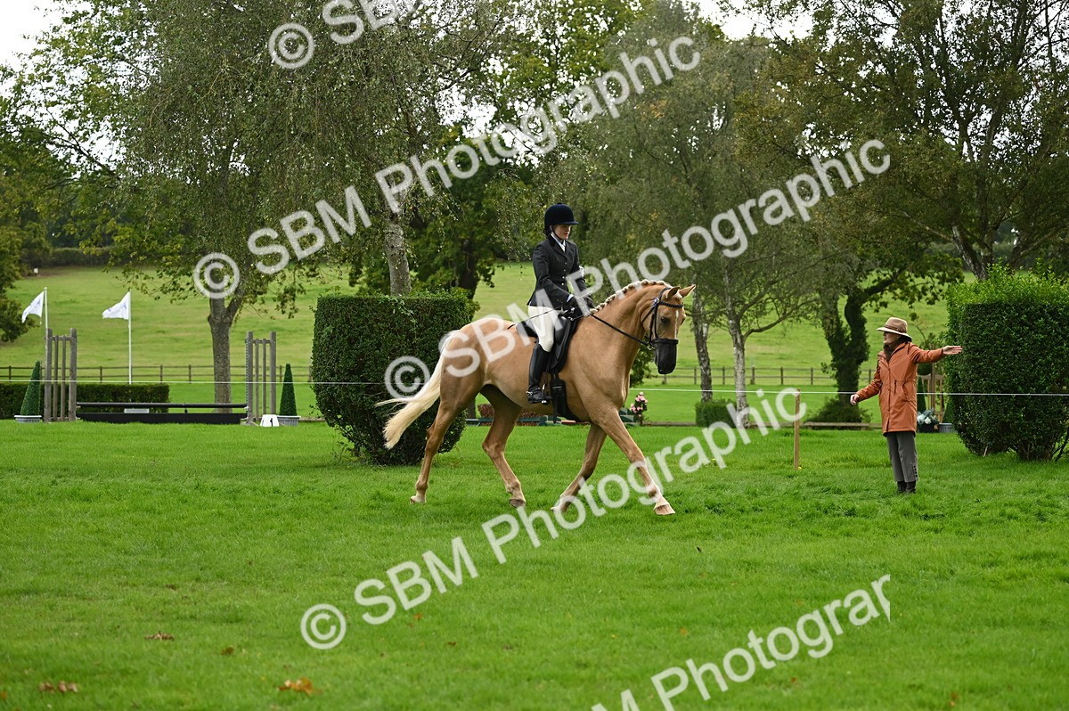 SBM_26354 - S6 - Novice & newcomer Ridden horse