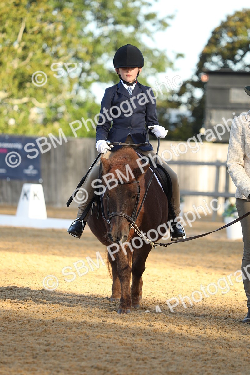 SBM_33625 - D26 - Starers - Lead Rein