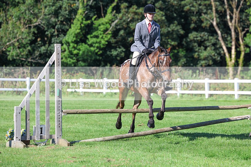 3E7A7786 - Class 2: Open Working Hunter pony