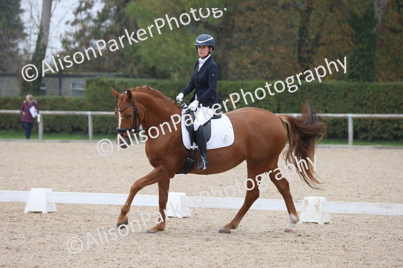 20251012-0563 - Class 4 - Novice 6