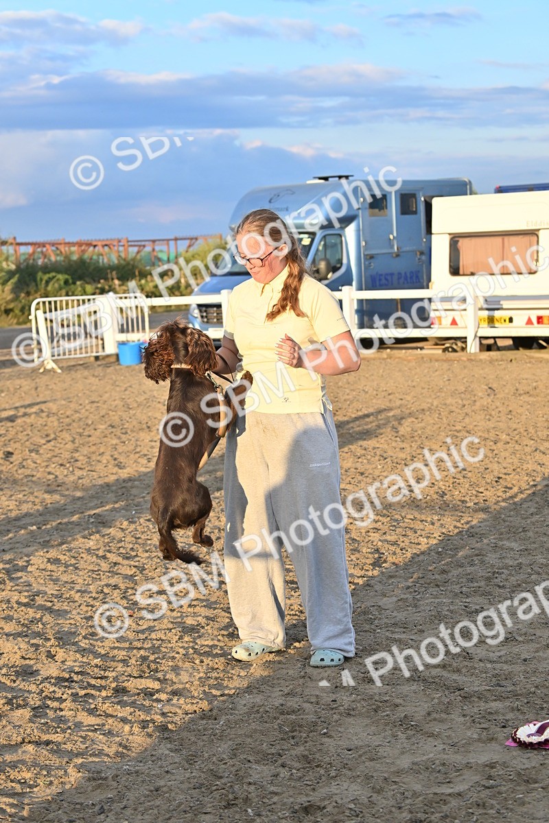 SBM_09704 - Lorry Dogs