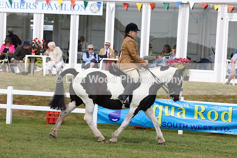 3E7A9687 - Class 5: Rising Star Lightweight/Heavyweight Cobs