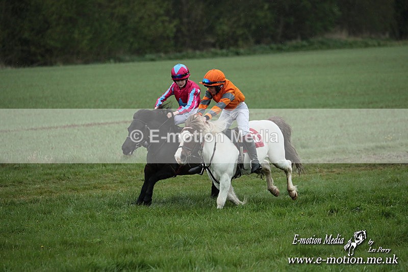 SHETPR 210425 84 - Shetland Ponies Paxford Races 21/04/25