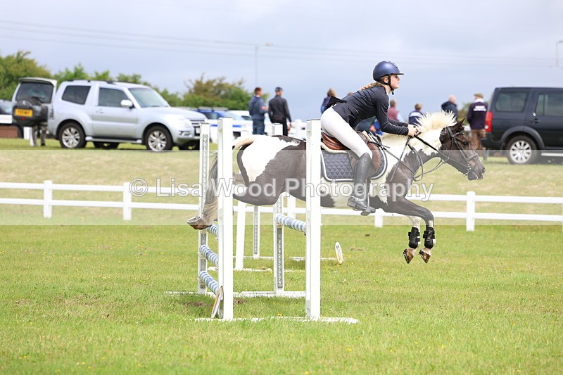 3E7A6664 - Class 9: Pony Discovery/90cm open