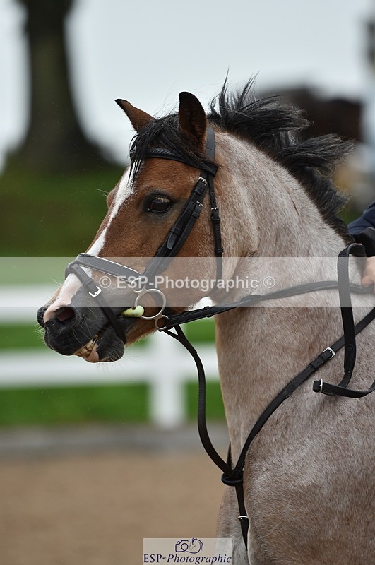 220829A-163248-00258 - 70cm Classes 3a 3b & 4