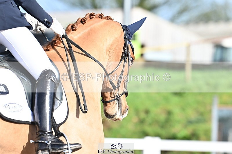 240218A-114223-06813 - 272-Beth.Bainbridge-Newton.Dreamcatcher