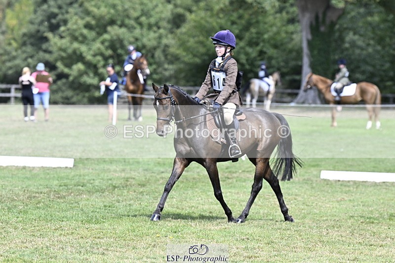 250822A-120624-22563_DR 1100 to 1200 - 777-177-7731