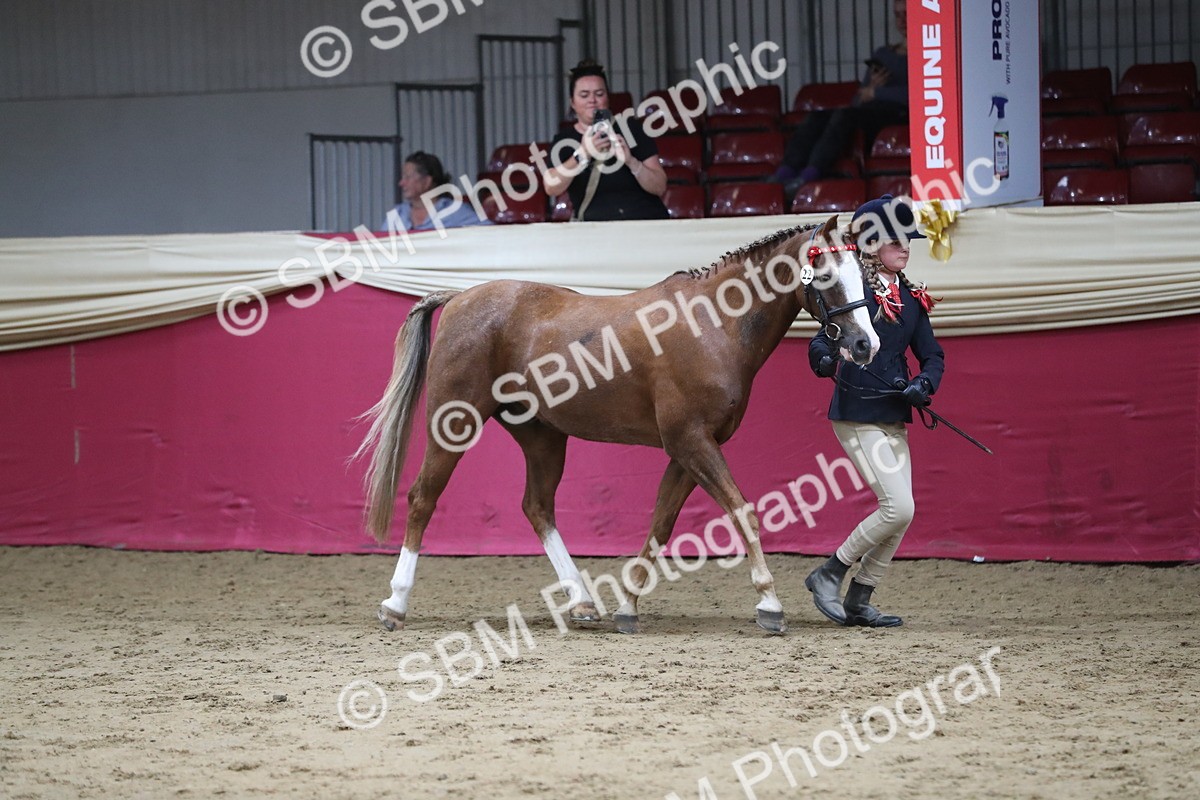 SBM_04951 - Class 8R- Regional -IH Veteran