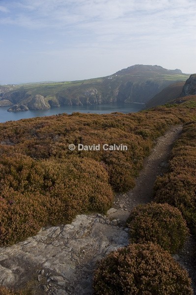 Pembrokeshire Coast Path - Coast