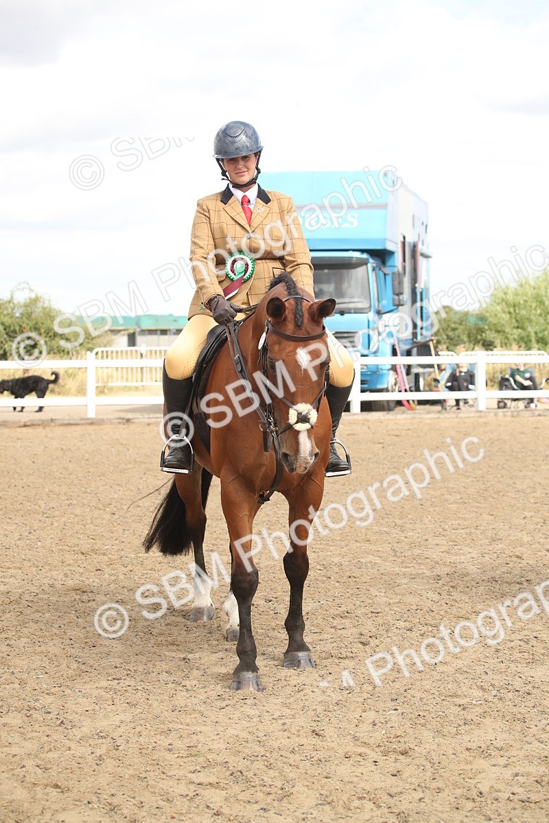 SBM_16568 - Class 506b - Working Veteran - 50cm (20+)