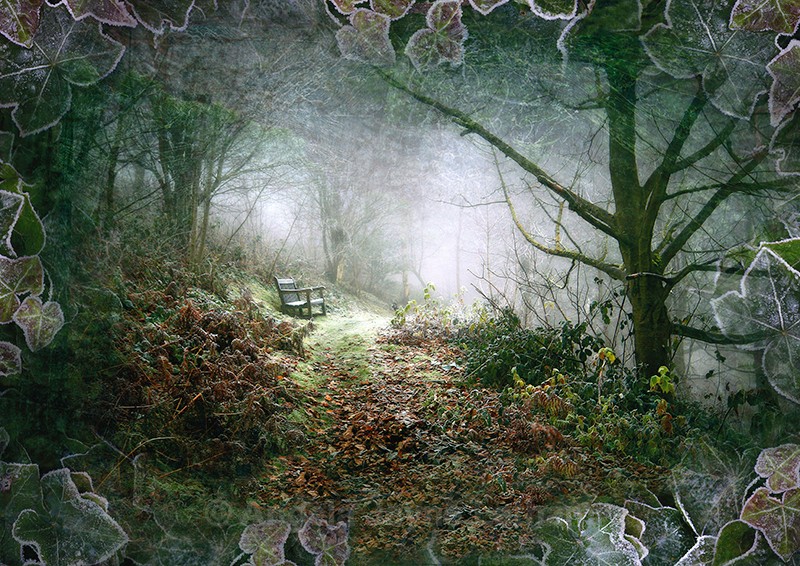 A Winter's walk - Enchanted Places