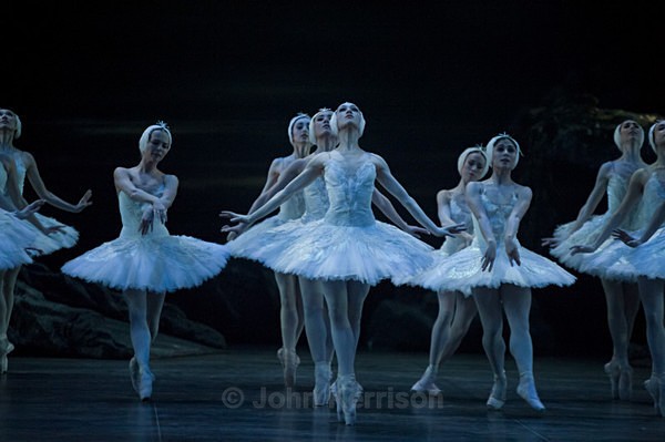  - Swan Lake