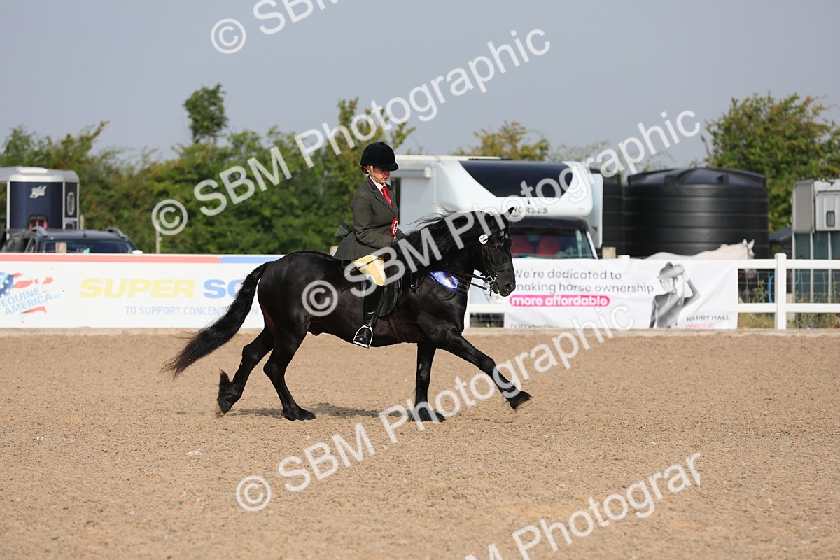 SBM_10181 - Class 302 Ridden M&M -Large Breeds