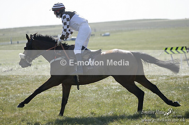 PtP 250421 152 - Larkhill Point-to-Point Racing 25/04/21