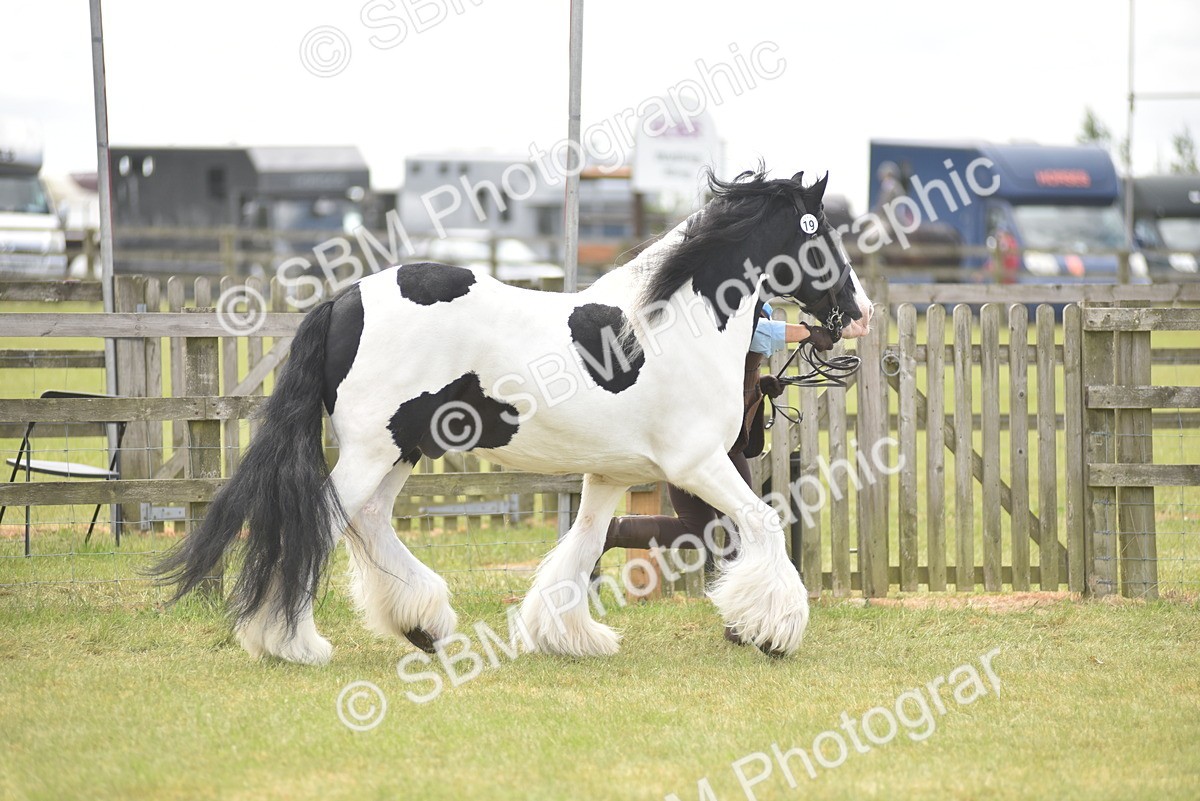 SBM_16038 - Class 117-122 - SSADL RIHS Qualifier