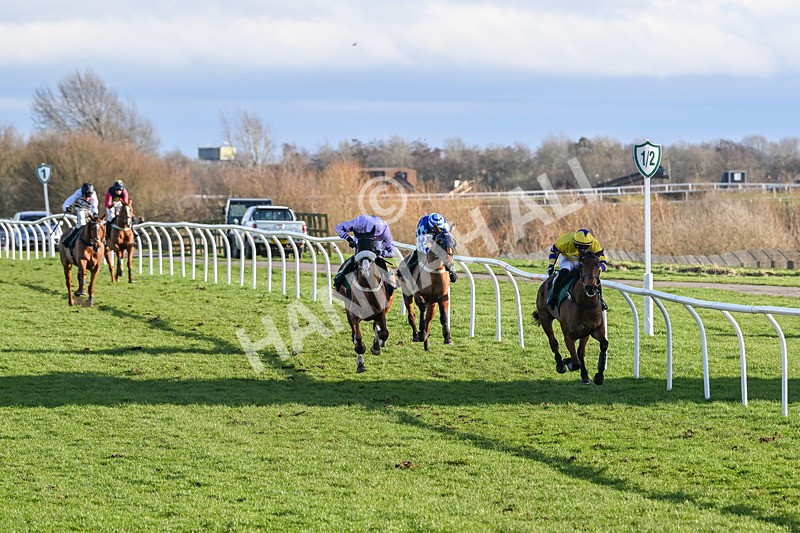 270224-Race 3-Chase A Fortune-3364 - Race 3