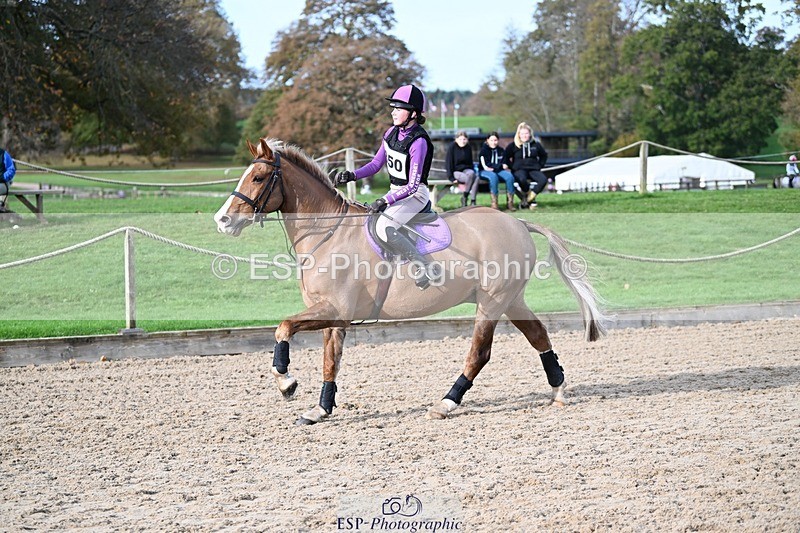 241117-111513-03475 - Cls 2 80-85cm 10.20 to 11.20