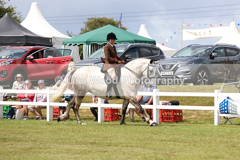 3E7A0493 - Rising Star Ridden Championship