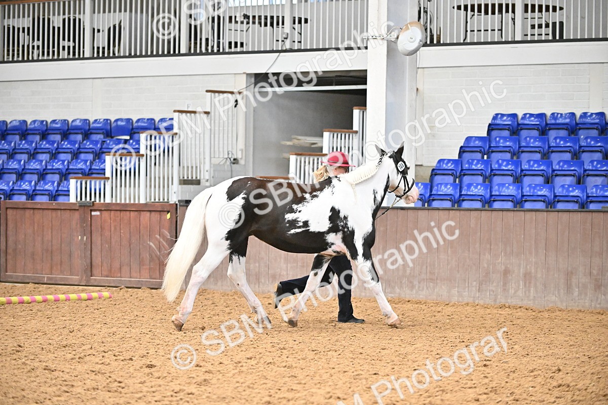 SBM_000283 - Class 10 - In Hand Coloured & Odd Coloured