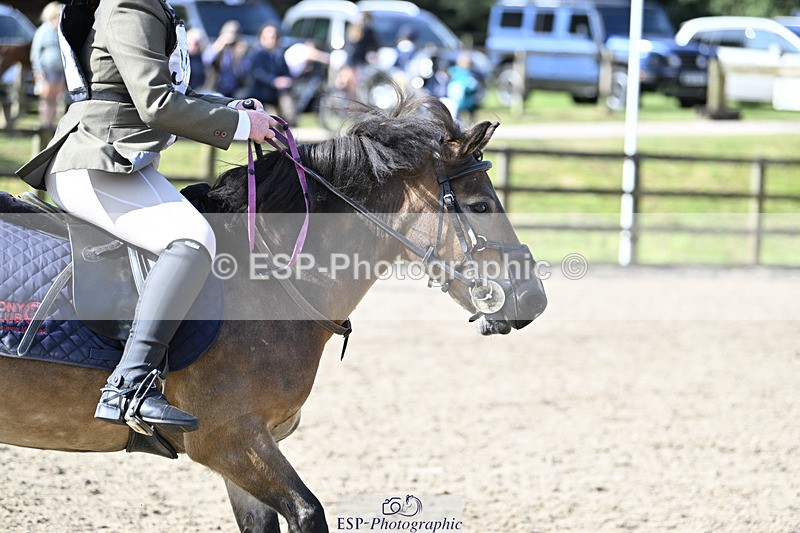 240823X-101452-15126 - 60cm R2 9.30 to 11.00