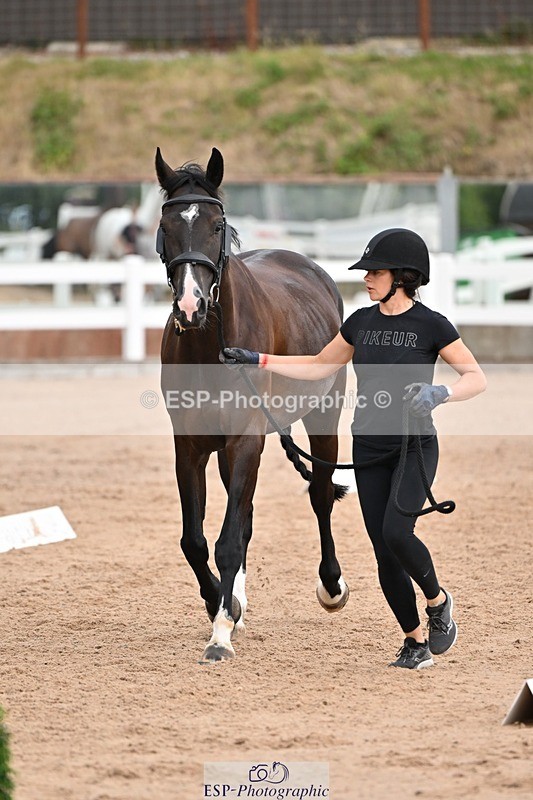 250716-145902-01572 - Trot Up 2.30 to 3.30